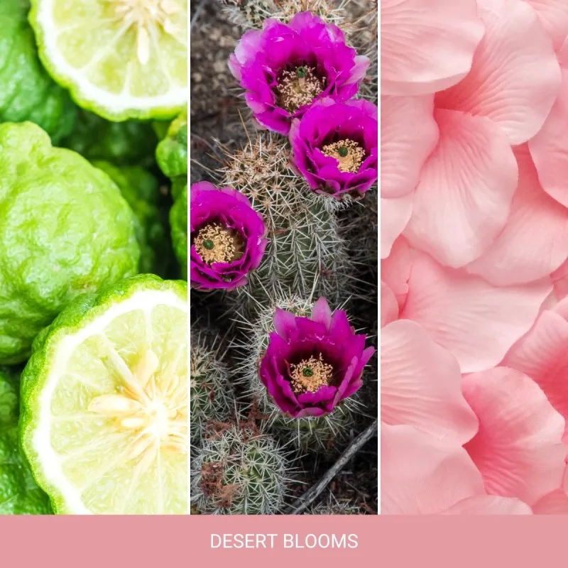YANKEE CANDLE Desert Blooms – tumbler z 1 knotem — zdjęcie 2